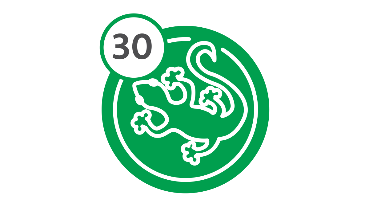 Bus Route 30 - Lizard Bus Route 30 - Lizard