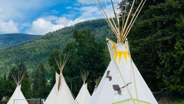 Tipis on a green field with mountains in background