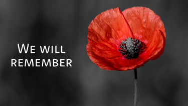 Red poppy on grey background with white text that says we will remember