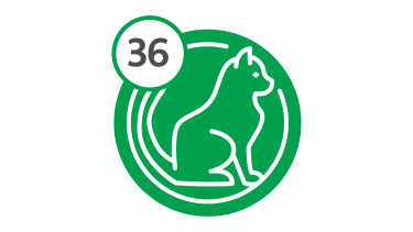 Green circular graphic of a white outlined cat sitting in profile