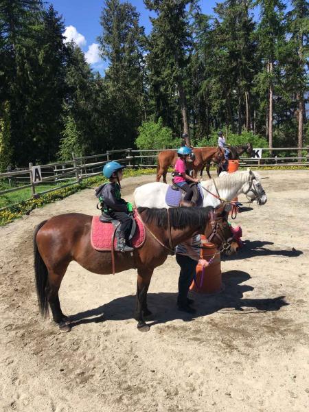 Horses and new, young riders on their mounts in a dirt paddock.